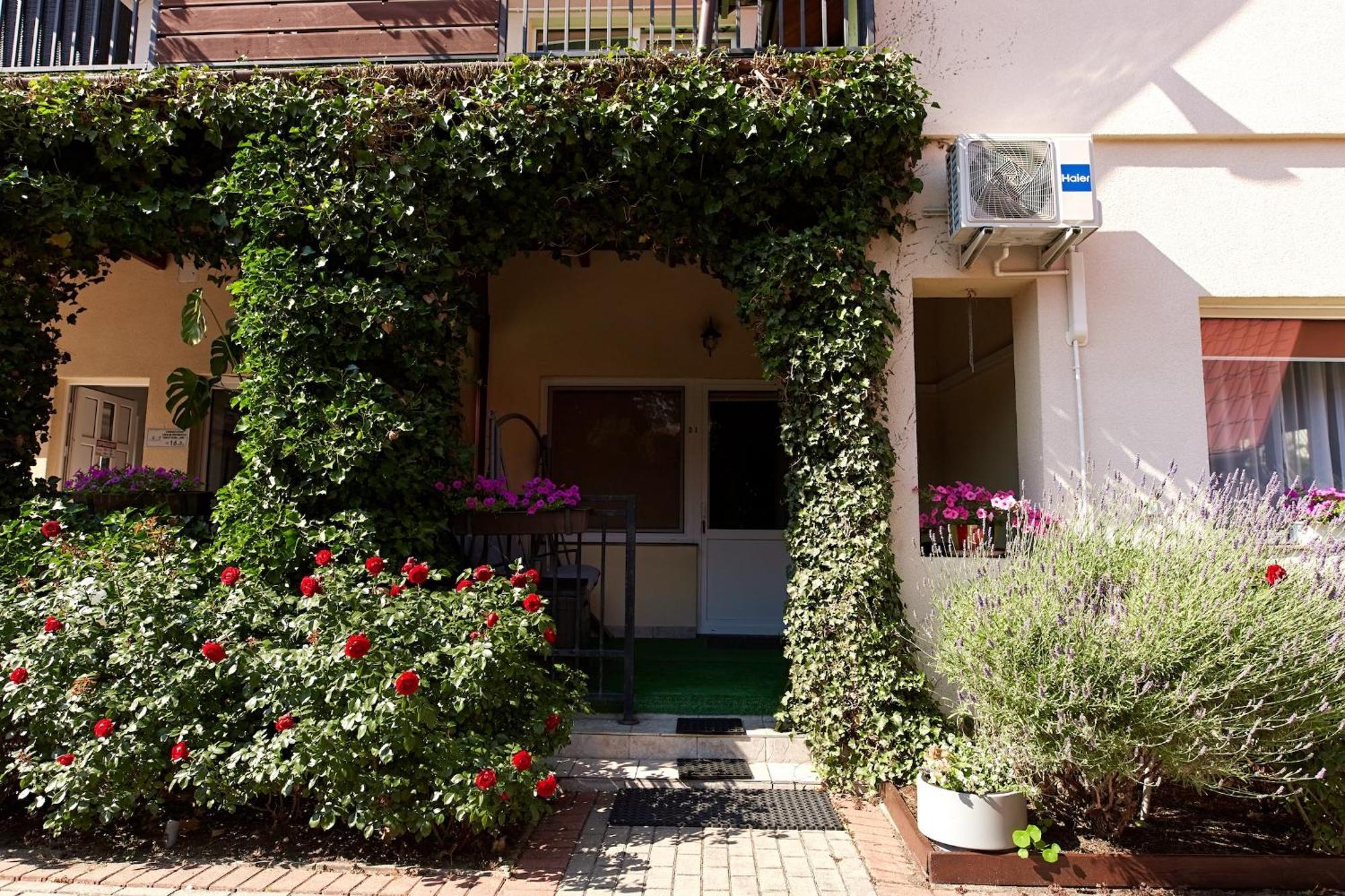 Osrodek Wypoczynkowy Relaks I Apartamenty Leba Room photo